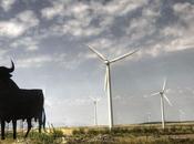éoliennes, première source d’électricité Espagne