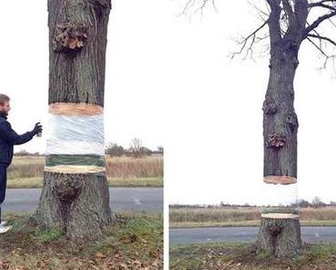 Un street artist fait flotter un arbre