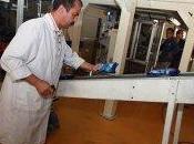 Industrie agroalimentaire centre pour contrôle équipements produits