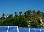 2014, photovoltaïque devrait dépasser