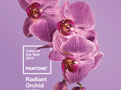 Radiant Orchid, couleur l’année 2014