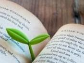 Sprout bookmark brin cultivé