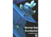 Eucalyptus Murray BAIL