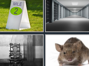 jouait images pour film