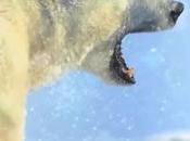 Superbe compilation d’images fortes