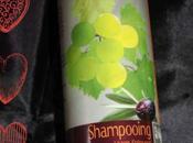 recherche shampooing idéal (1ère partie)