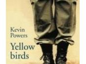 Yellow birds