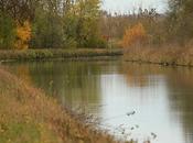 Canal Marne Rhin