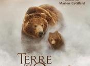 Terre Ours