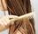 Soigner cheveux gras
