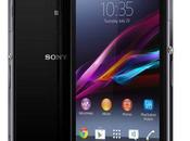 Quelques accessoires pour votre Xperia Z1compact