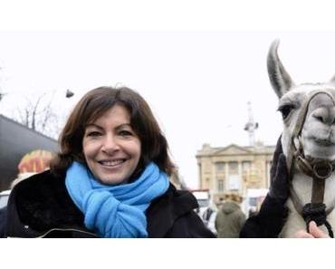 Qu'a donc fait Anne Hidalgo dans l'administration pendant les 10 ans qui ont précédé sa retraite ?