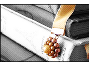 Tuesday auteurs dont vous attendez avec impatience nouveau livre (annoncé non)