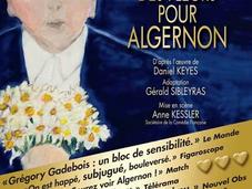 Théâtre Fleurs pour Algernon