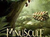 Cinéma Minuscule vallée fourmis perdues