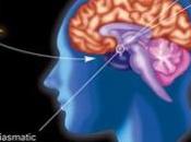 SOMMEIL: Wide Awake, gène mutant empêche dormir Neuron