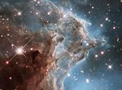 Pour ans, Hubble photographie nébuleuse Tête Singe