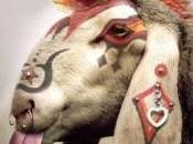 Ceux arrondissent leur