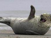 j’ai ressenti lisant tribune Sarkozy dans Figaro