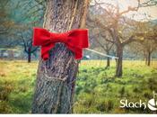 Quels arbres pour slackline