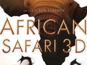 African Safari Stassen