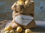QUOTIDIEN VOUS Gastronomie Bonnotte, petit trésor l’île Noirmoutier