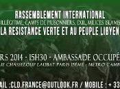 Paris (vidéo): rassemblement pour peuple Libyen soutien révolution verte