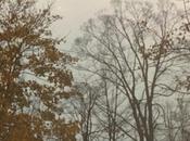 Cétieu Ceiling City (for Pan•American) (PREMIERE)