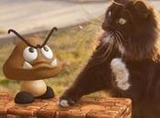 vidéo chat prend pour Mario