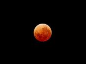 plus belles photos l’éclipse totale Lune avril 2014