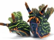 nature fantastique: Nudibranches