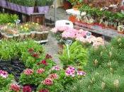 note musique plus marché fleurs