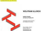 Galerie DENISE RENE exposition Wolfram ULLRICH Juin Juillet 2014