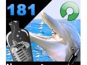 L’apéro Captain #181 L’anti-fonctionnalité gang dauphins