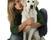 DogVacances: solution pour faire garder chien