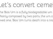 L’urne funéraire fera vous arbre