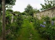 murs pêches @ville_montreuil dans mondial jardins ville plus cools