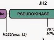 Pseudophosphatases pseudokinases physiologie pathologie