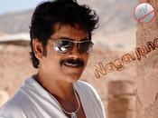 Sans projeter dénigrer