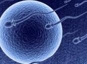 INFERTILITÉ masculine: anomalies sperme souvent associées décès prématuré Human reproduction