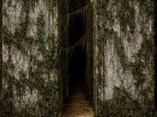 Labyrinthe Ball Avec Dylan O'Brien, Thomas Brodie-Sangster, Ameen