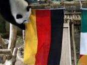 pandas devins pour pronostics Mondial 2014