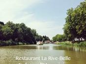 dimanche midi canal Midi