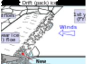 Ours recherche glace