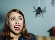 Elle appartement voulant tuer araignée