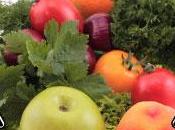 Consommer fruits légumes pollués jour