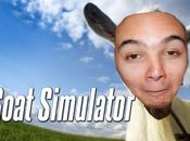 Test Vidéo Goat Simulator