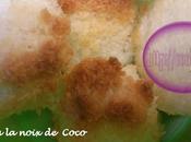 Rochers Noix Coco Thermomix Congolais