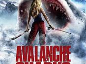 Avalanche Sharks-Les Dents Neige
