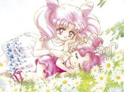 Sailor moon short stories Tome Naoko Takeuchi